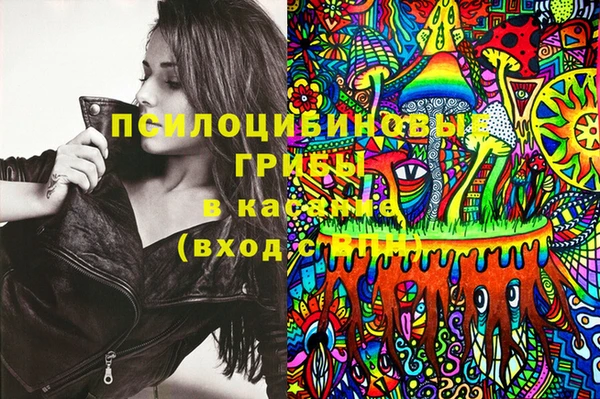 твердый Дмитров