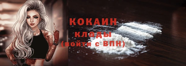 твердый Дмитров