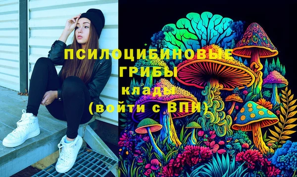 дживик Дмитриев