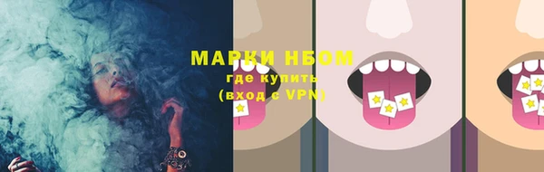 дурь Ельня