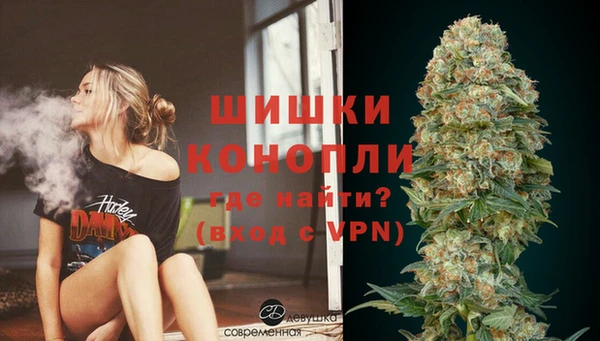 твердый Дмитров