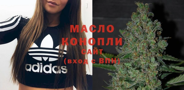 твердый Дмитров