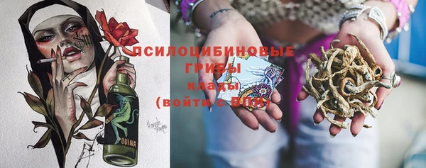 спайс Елизово