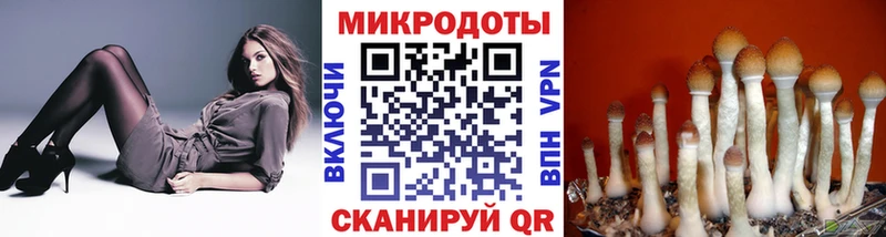 Псилоцибиновые грибы Cubensis  Купить  Павловский Посад 